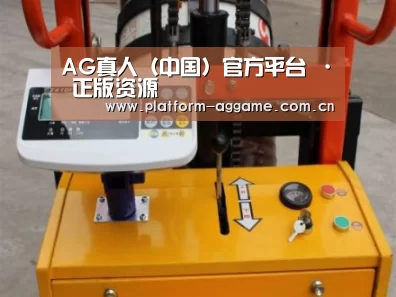 AG真人官方案例展示三