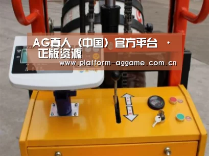 AG真人官方案例展示三(图1)